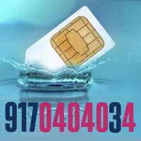 خط رند طلاست