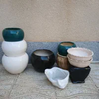 گلدان|گل و گیاه طبیعی|بهار, |دیوار