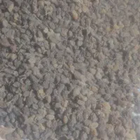 کشمش آفتابی|خوردنی و آشامیدنی|قره چای, |دیوار