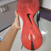 کفش والیبال|کیف، کفش، کمربند|تبریز, |دیوار