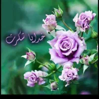 کارت استخر صدف