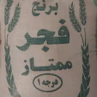 برنج فجر