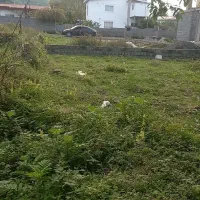 فروش زمین پلاک ۱جنگل ۲۲۳متر قیمت کل ۵میلیارد