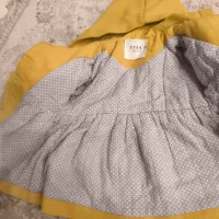 پالتو خارجی|لباس|کازرون, |دیوار