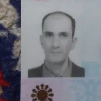 پیداشده