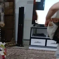 سینما خانواده