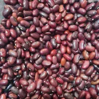 لوبیا قرمز|خوردنی و آشامیدنی|شیراز, میدان قائم|دیوار