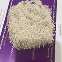 فروش چای درجه یک لاهیجان و برنج هاشمی گیلان|خوردنی و آشامیدنی|کرج, حصارک بالا|دیوار