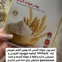 پودر جوانه گندم بین استار اصل بمب چاقی صورت