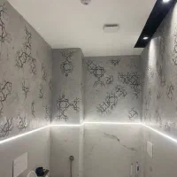 اجرای پتینه،میکروسمنت، نقاشی دیواری،آموزش سیاه قلم|خدمات آموزشی|شیراز, شهرک گلستان|دیوار