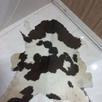 پوست گوساله