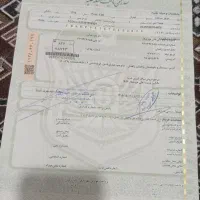 گم شدن برگ سبز موتور