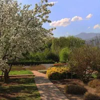 زمین-1000-متری-در-بهترین-موقعیت