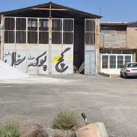 سوله حاشیه جاده