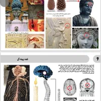 انواع کتب ممنوعه و کمیاب