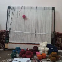 دار قالی نو نو