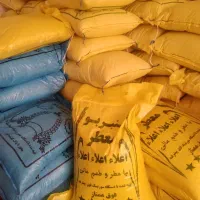 برنج عنبر بو شوشتر