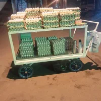 تخم مرغ شانه ای 270