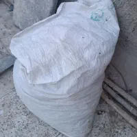 فضله وبارکبوتر