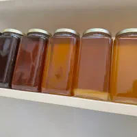 عسل اصل درمانی و محصولات ارگانیک|خوردنی و آشامیدنی|تهران, شهرک ولیعصر شمالی|دیوار