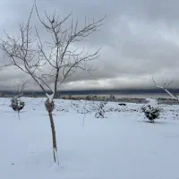 عکاسی محیط باز و آتلیه مینیمال