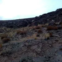 معدن سنگ لاشه ورقه ای