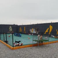 سگ پانسیون و آموزش سگ