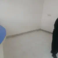 اجاره کم واحد کاشف شرقی|اجارهٔ آپارتمان|لاهیجان, شقایق|دیوار