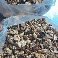 مغز گردو|حراج|یزد, |دیوار