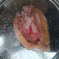ماهی قزل پاک کرده