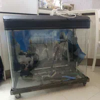 آکواریوم شرکتی