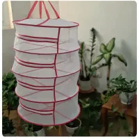 توری میوه خشک کن