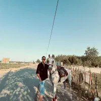 نریان ۶ دنگ کرد