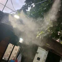 مه.پاش گلخانه خیار و گوجه/کاهش دما/سوختگی برگ