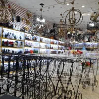 مرغ دریایی ب جاشمعی رزین تابلوشنی جاعودی تراول ماگ