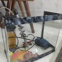 آکواریوم کوچک