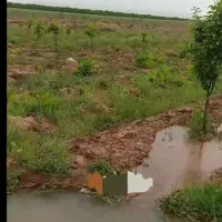 زمین به همراه ۱۲ ساعت آب در روستای قاسم آباد