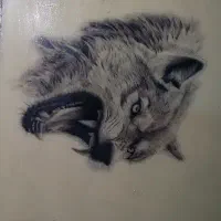 آموزش تتو|خدمات آموزشی|تنکمان, |دیوار