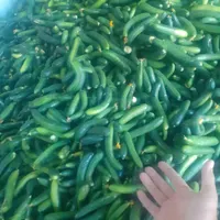 ویژه فیت دار نهاوندی تازه وریز قیمت مناسب|خوردنی و آشامیدنی|تهران, افسریه|دیوار