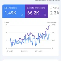 استخدام طراح سایت و سئو کار فریلنسری