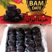 فروش کلی و جزئی خرمای مضافتی بم