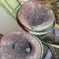 بوت اسکی salomon اصل|ورزش‌های زمستانی|ری, شهادت|دیوار