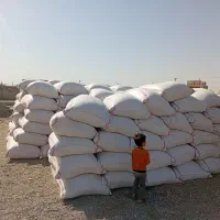 کاه کردستان رسید سفید نرم|لوازم جانبی حیوانات|زابل, |دیوار