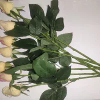 گل رز لمسی سفید صورتی|گل مصنوعی|لنگرود, |دیوار