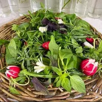 سبزی خوردن تازه بسته بندی|خوردنی و آشامیدنی|مشهد, وحید|دیوار