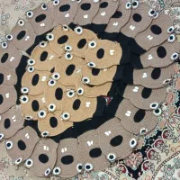 زیبا وجدید|لوازم حمام|زابل, |دیوار