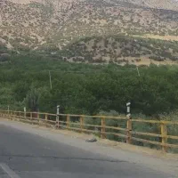مسافر باغبهادران
