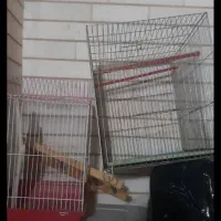قفس پرنده