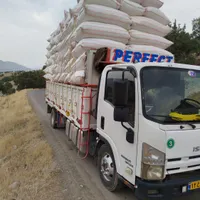 کاهگندمدیمدرجهیکیک