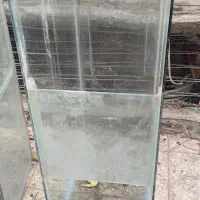 فروش چهار عدد آکواریوم که یکیش ماهی گپی داره|ماهی|تبریز, |دیوار